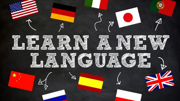 LANGUAGE LEARNING