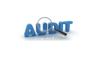 Audit Services